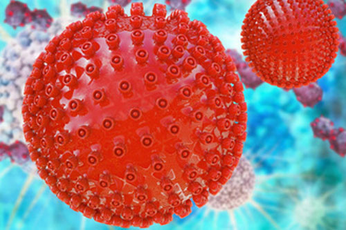 Coronavirus Infos