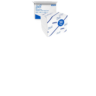 KC Scott Toilettenpapier